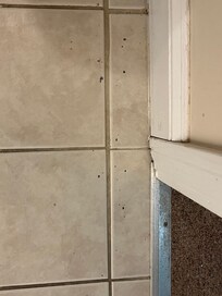 Tile not clean, appears to be some sort of mold