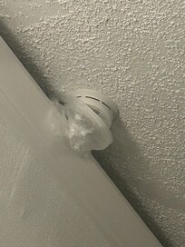 Bag over smoke detector