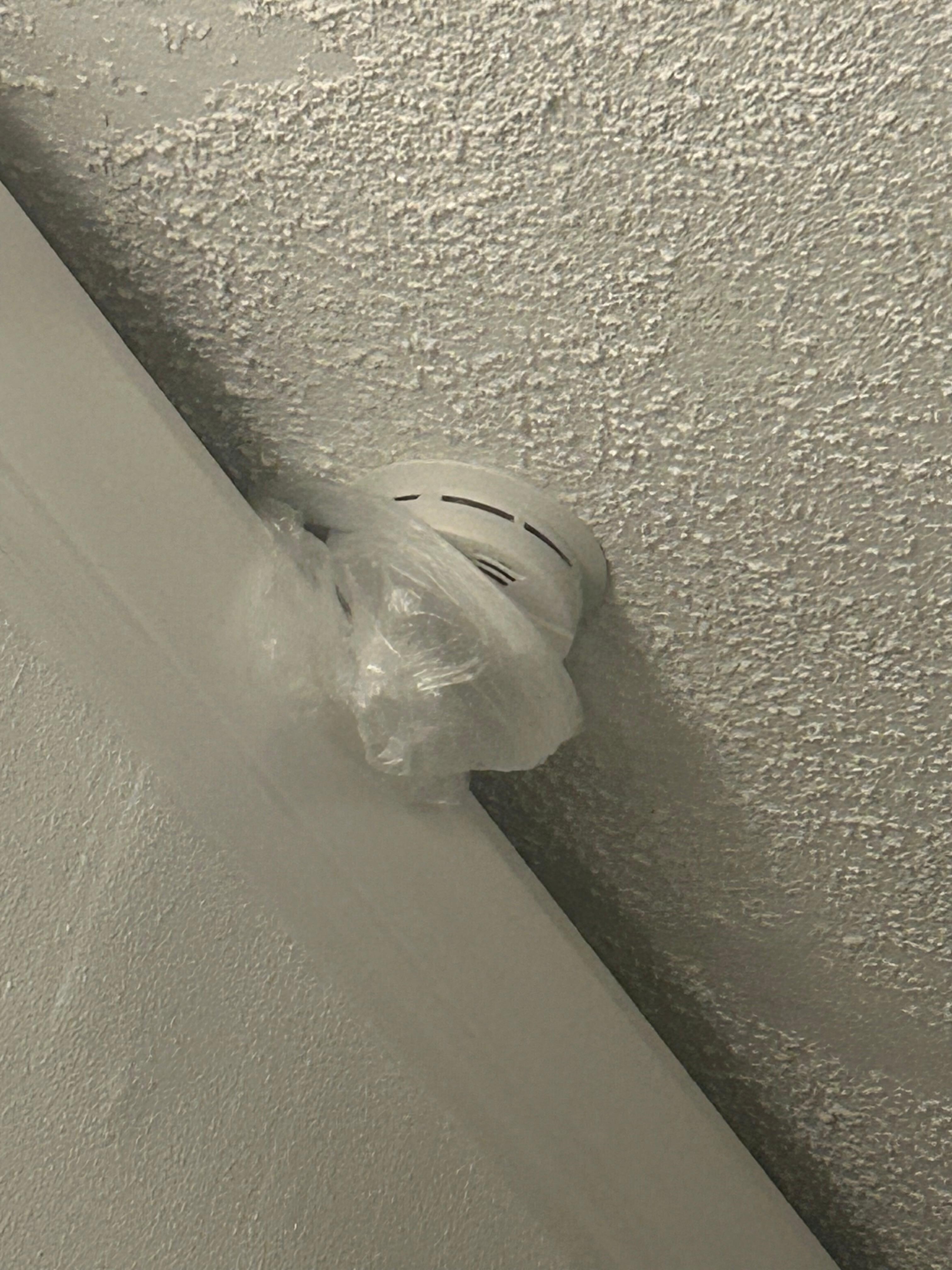 Bag over smoke detector