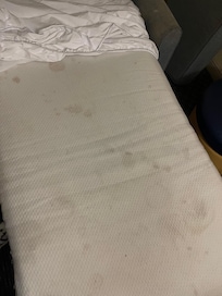 The room smelled like pure mold