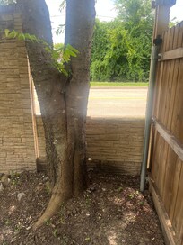Broken fence