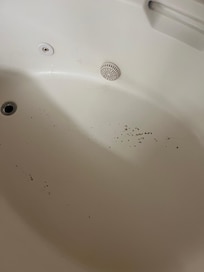 The Jets and the tub did not work and the plugs are just a rubber piece