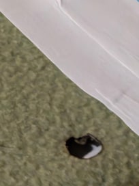 Burnt blanket