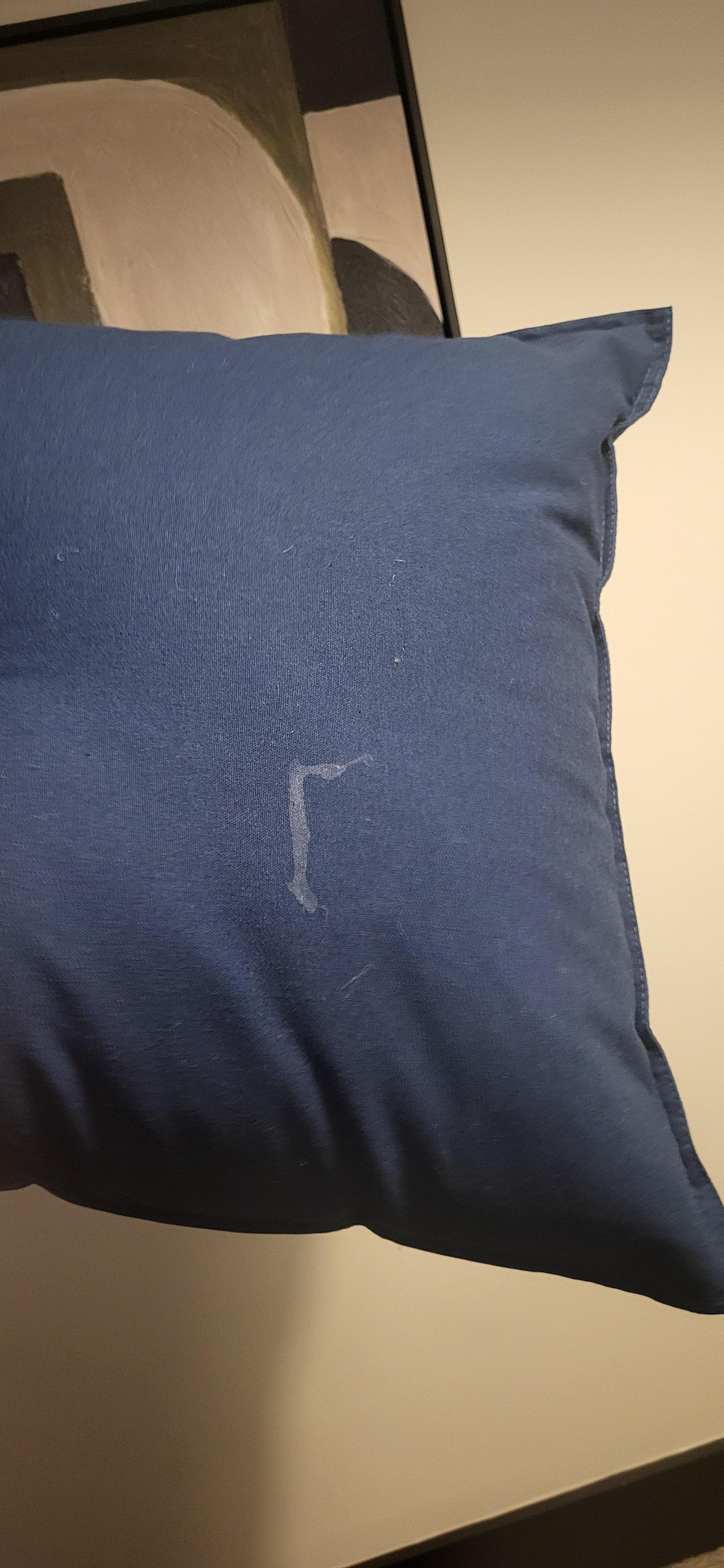 Not sure what this stain is  on bed pillow 