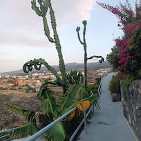 Vialetto di accesso alla casa