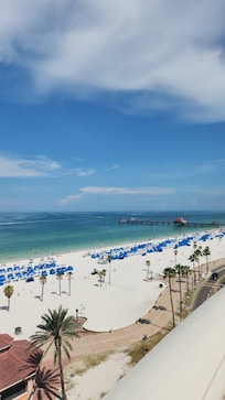 Clearwater beach around an hour 20 minutes from the Grove