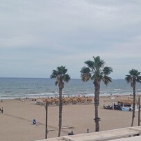 Blick von der Terrasse