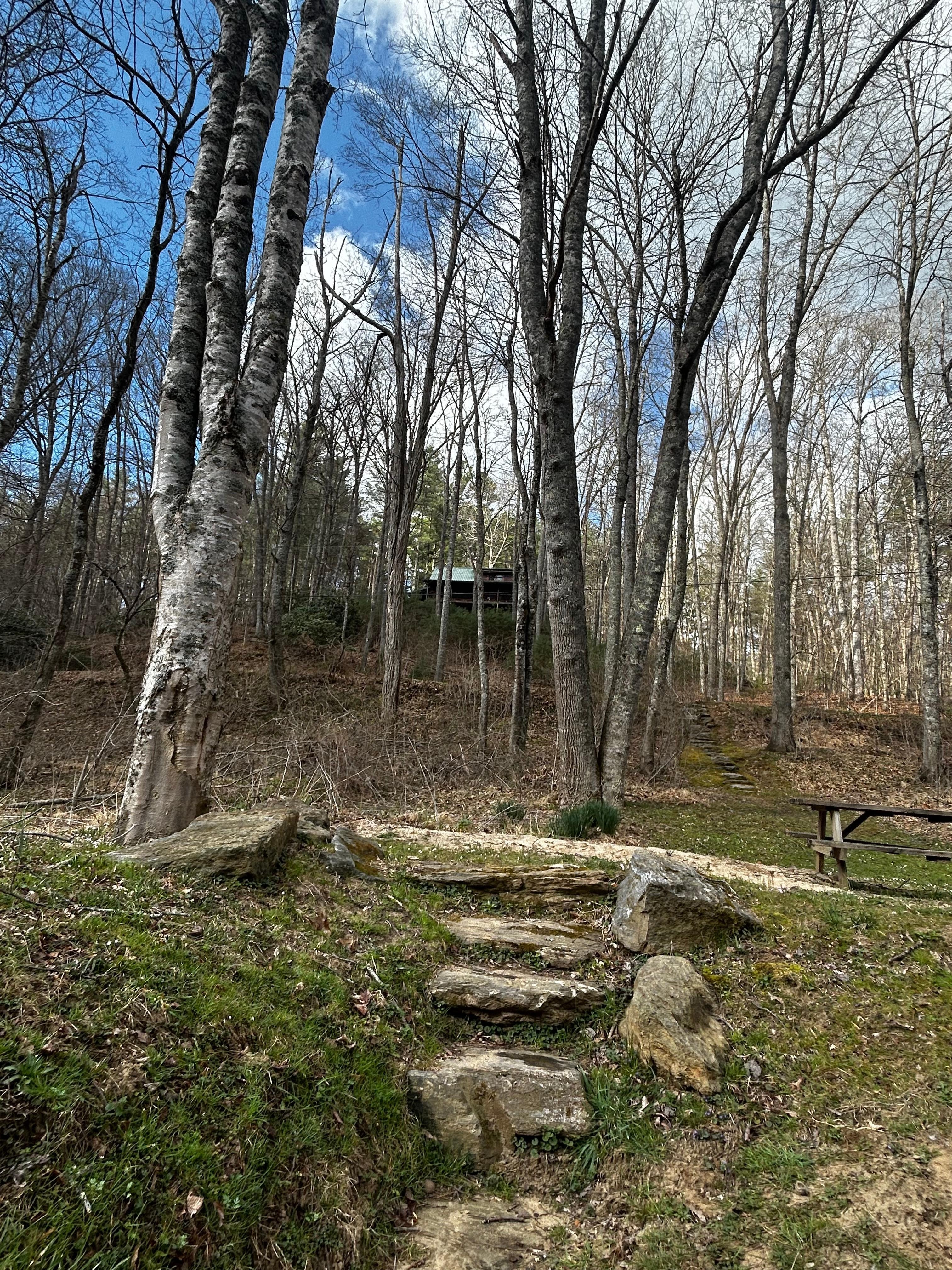 Looking up at the cabin from the river
