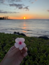Amazing location. Minutes of walking to our favorite beach
