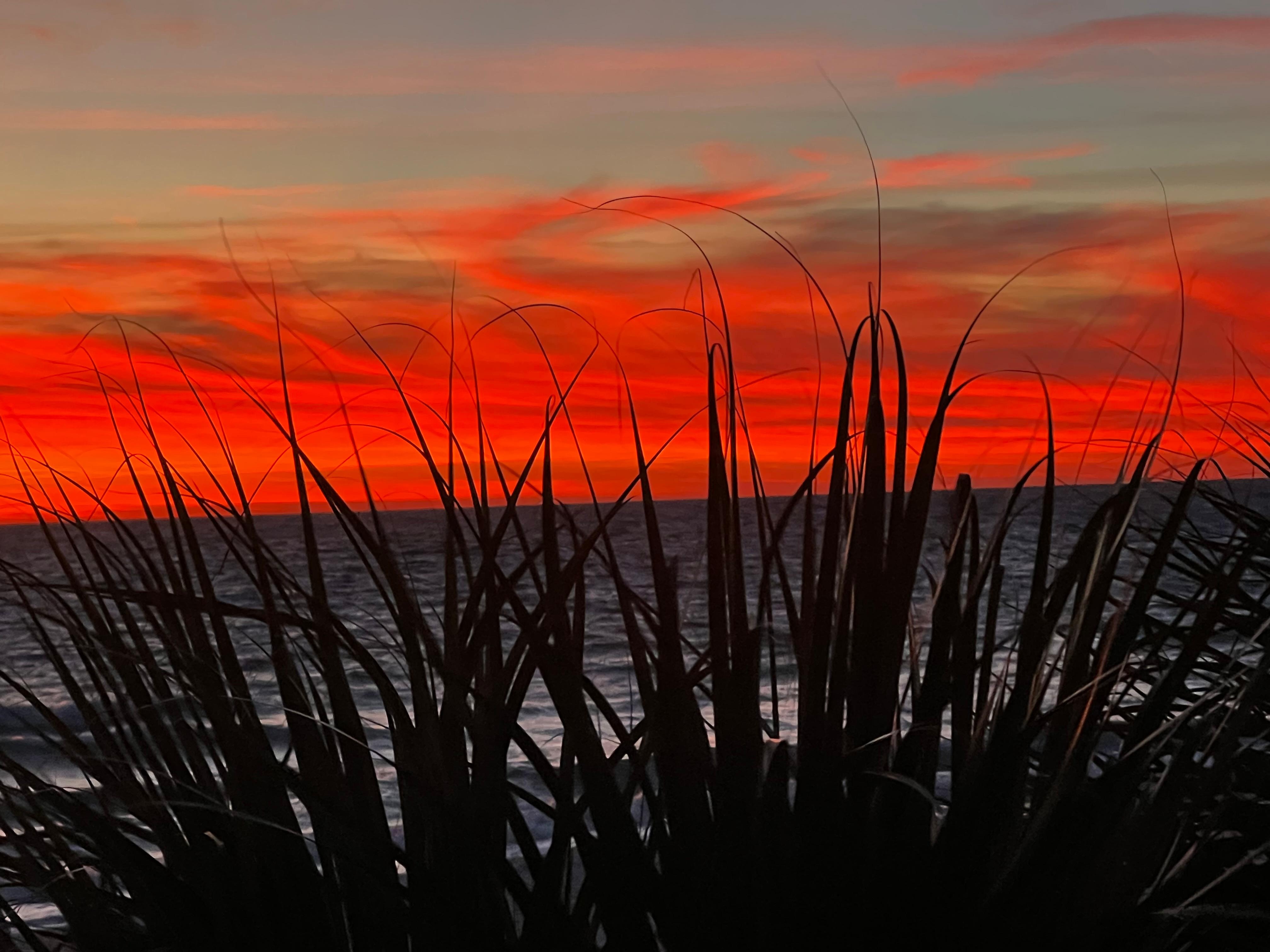 Sunset 1/1/26 room 225