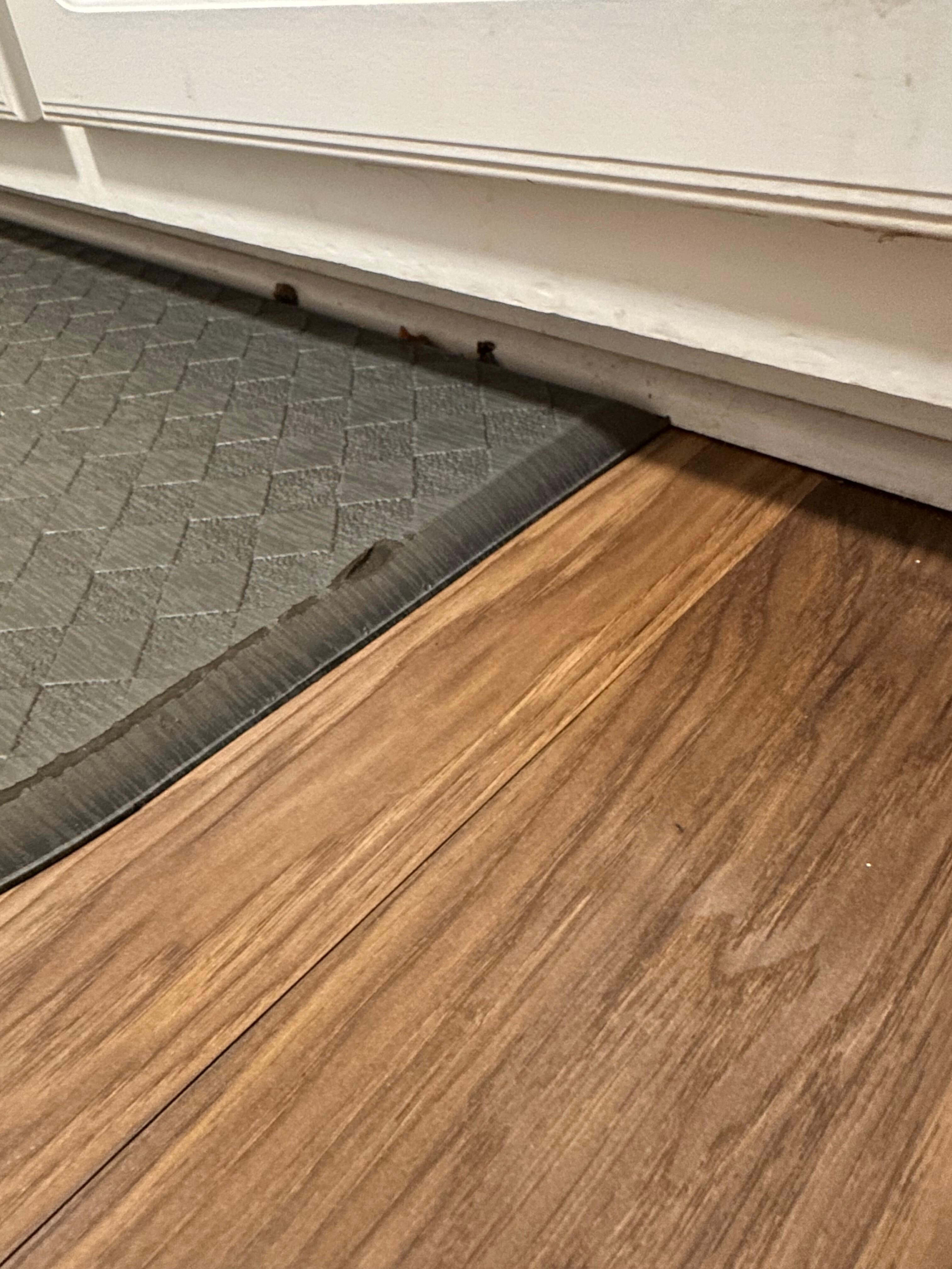 Dog food under the cabinet where you stand to wash dishes.