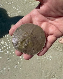 Found our first starfish, which we threw back into the ocean.
