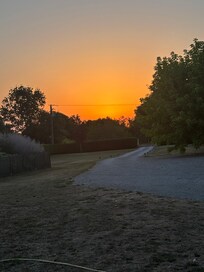 The back garden at sunset