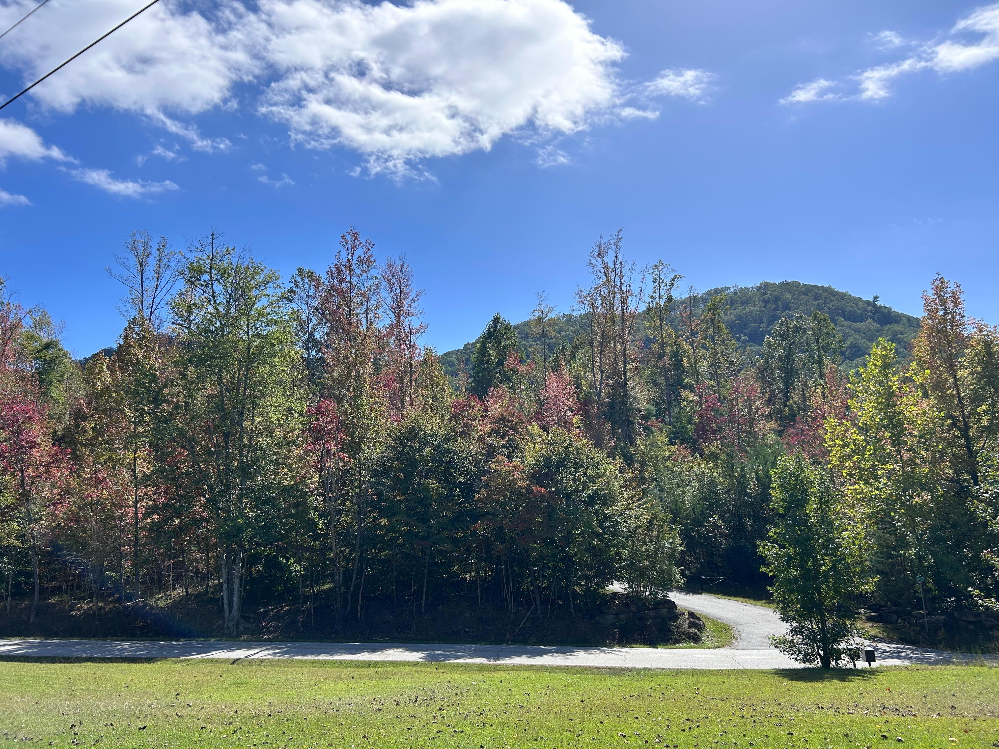 View from the front yard.