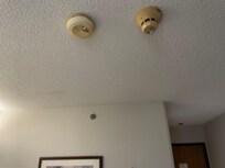 Old. Looks like smoke discolored. Room varied as Non-Smoking.