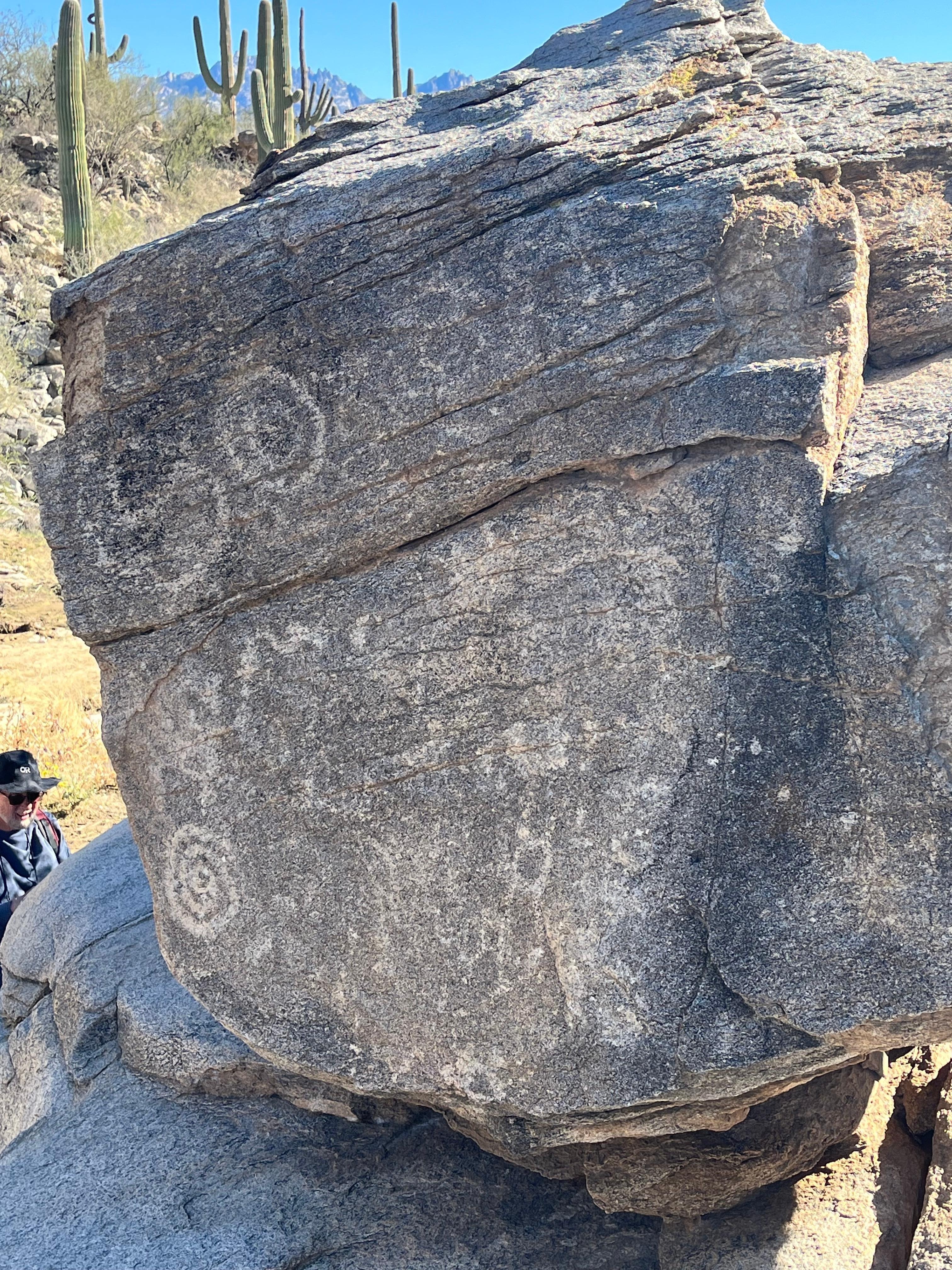 Honey Bee Trail petroglyphs 