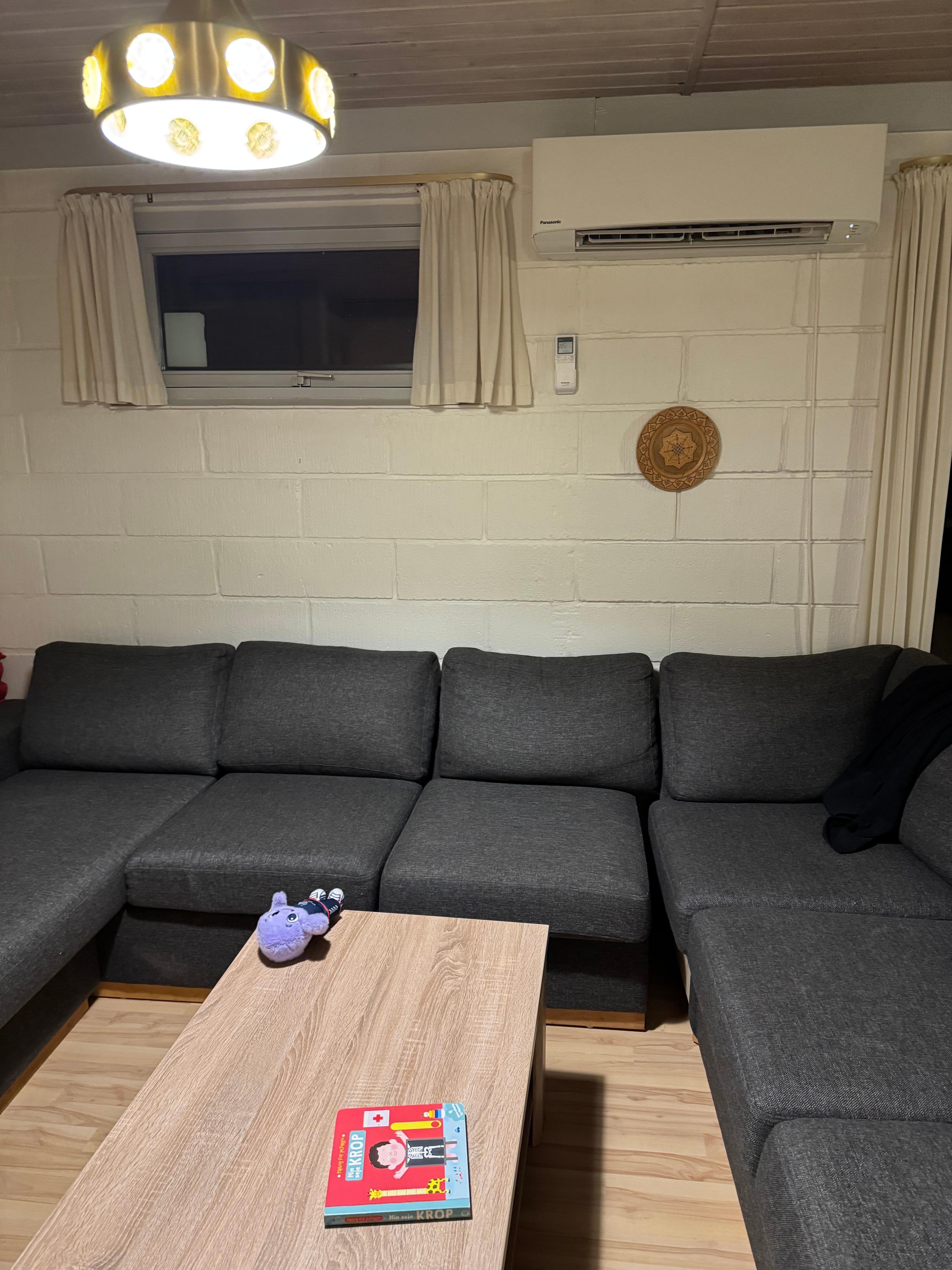 Mold on wall behind sofa.