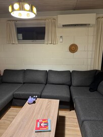 Mold on wall behind sofa.