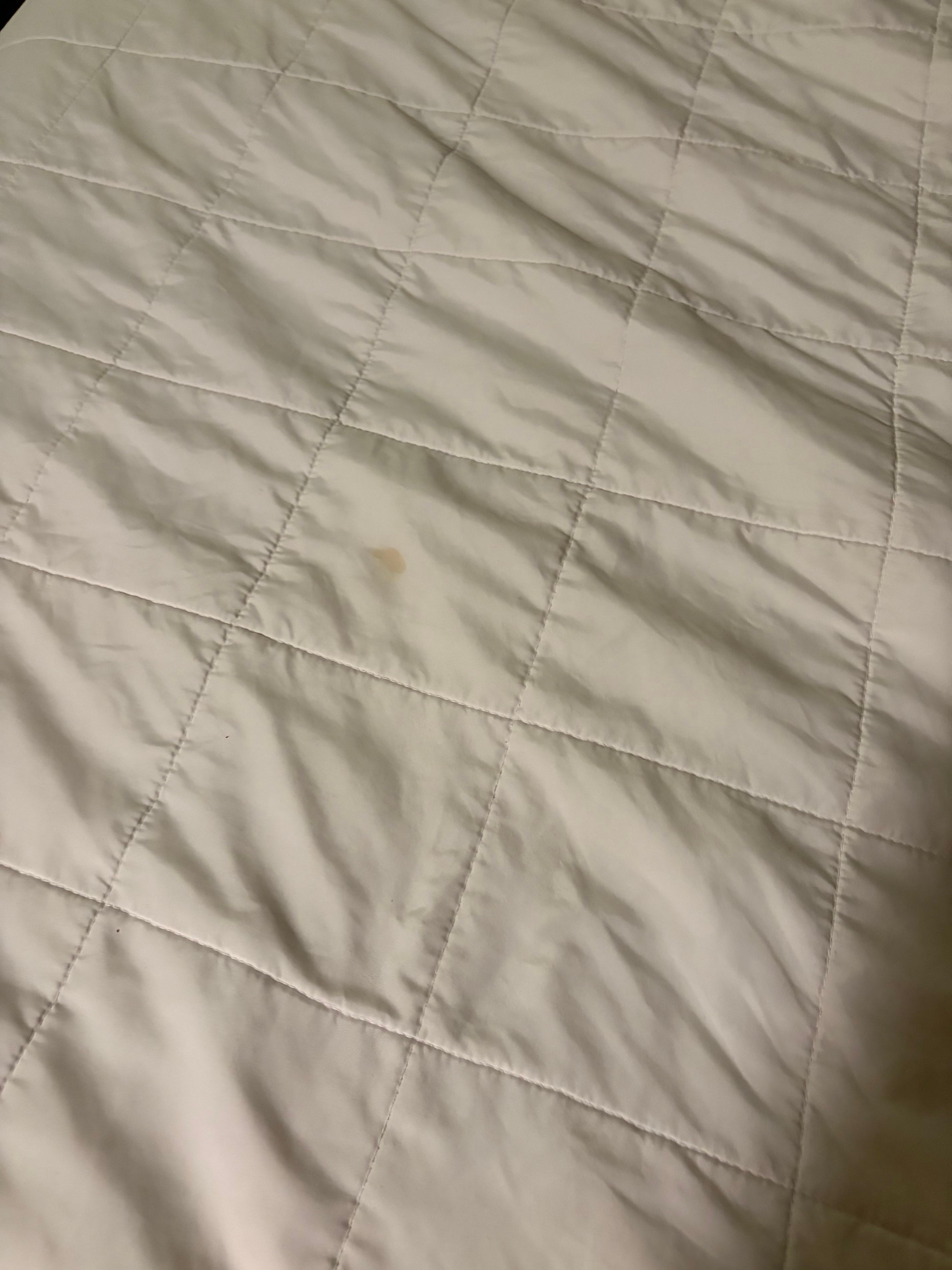 Stains on sheets and comforter 