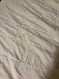 Stains on sheets and comforter