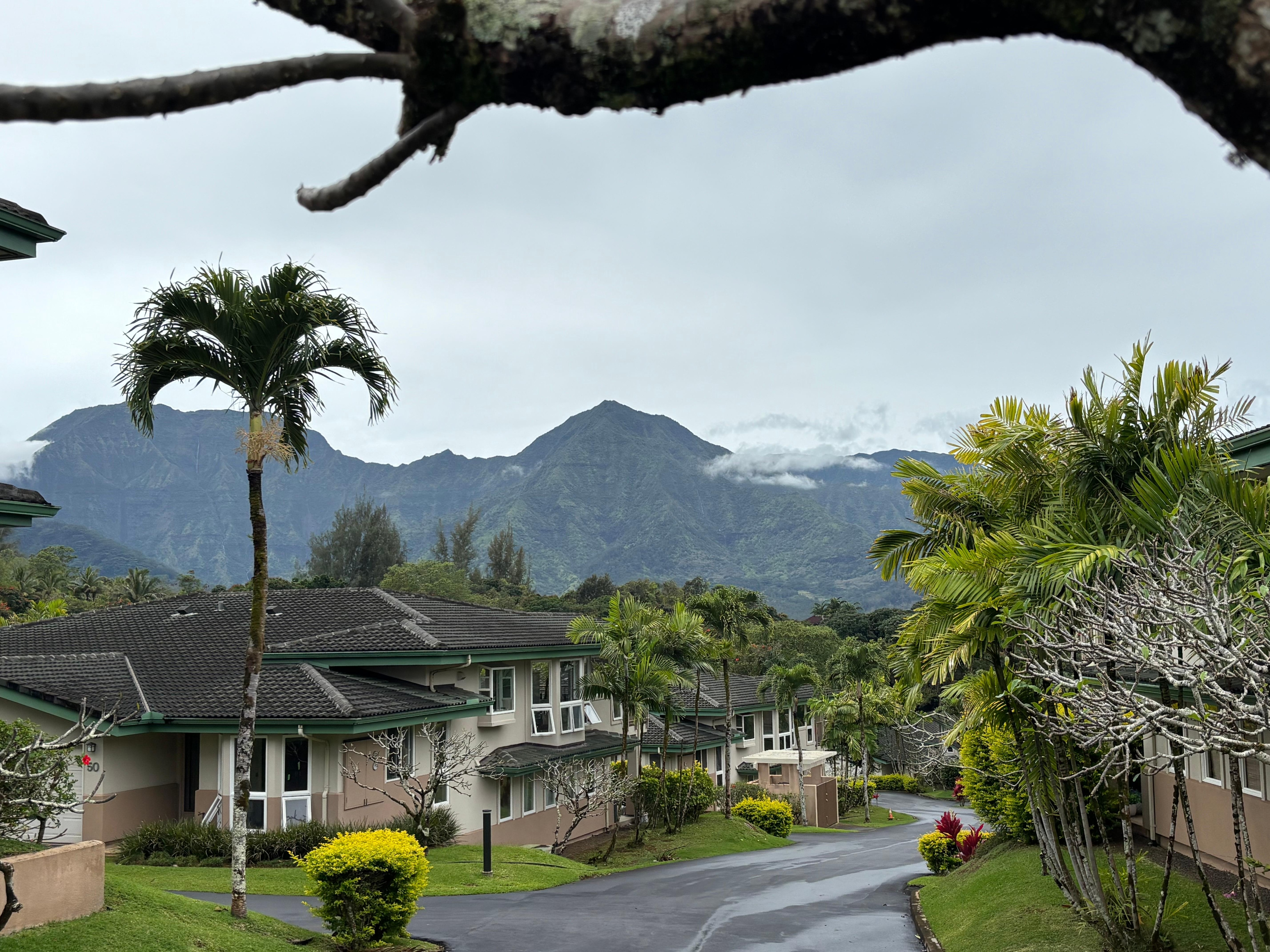 View from driveway