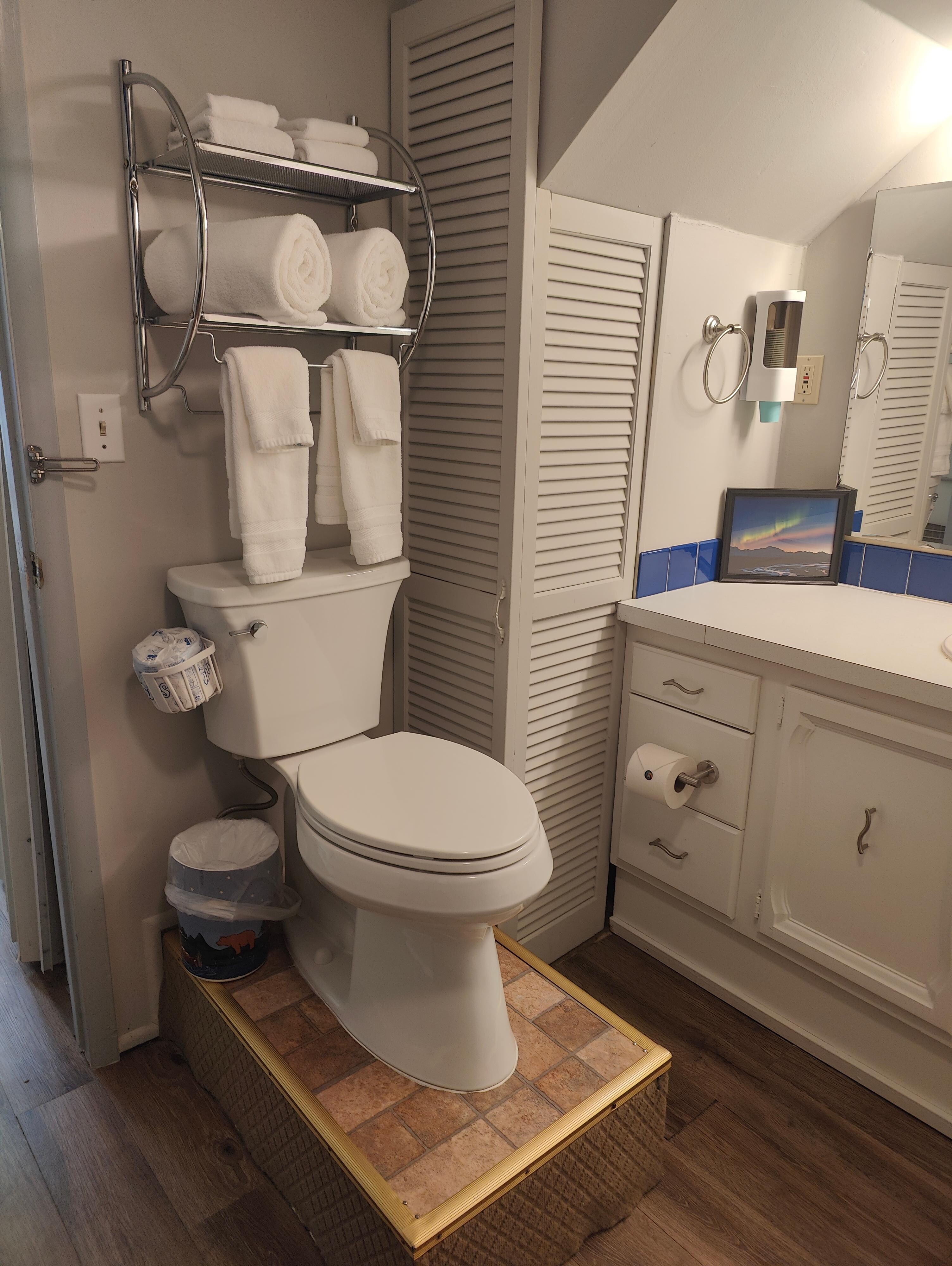 Very odd toilet configuration.