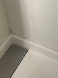 mildew in shower