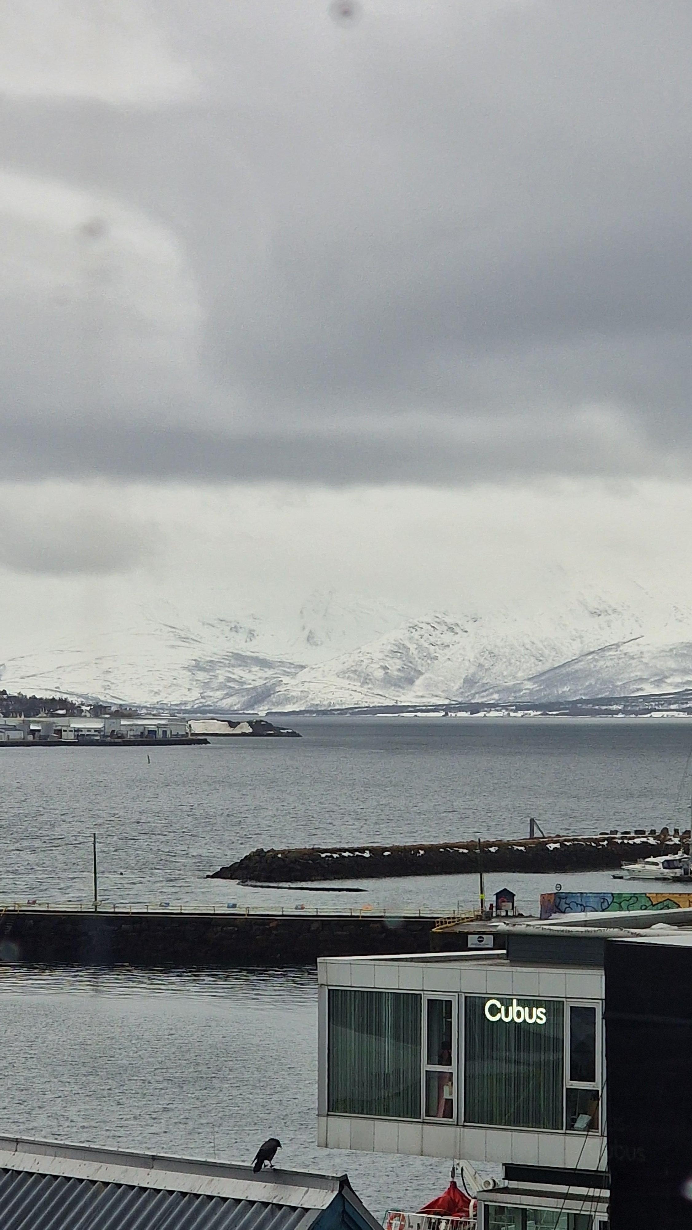 View from the side window of the room