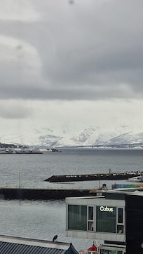 View from the side window of the room