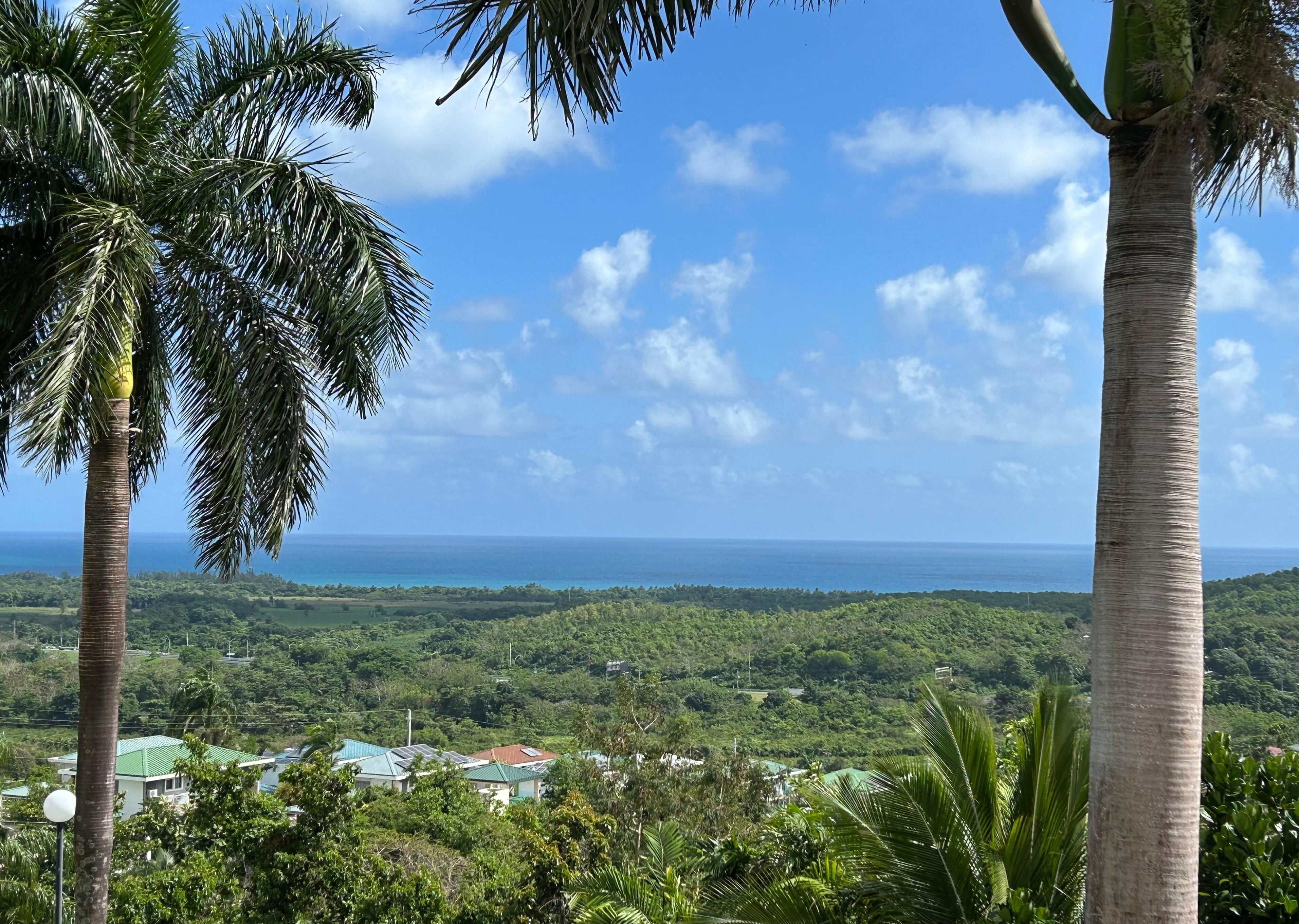 View from the house