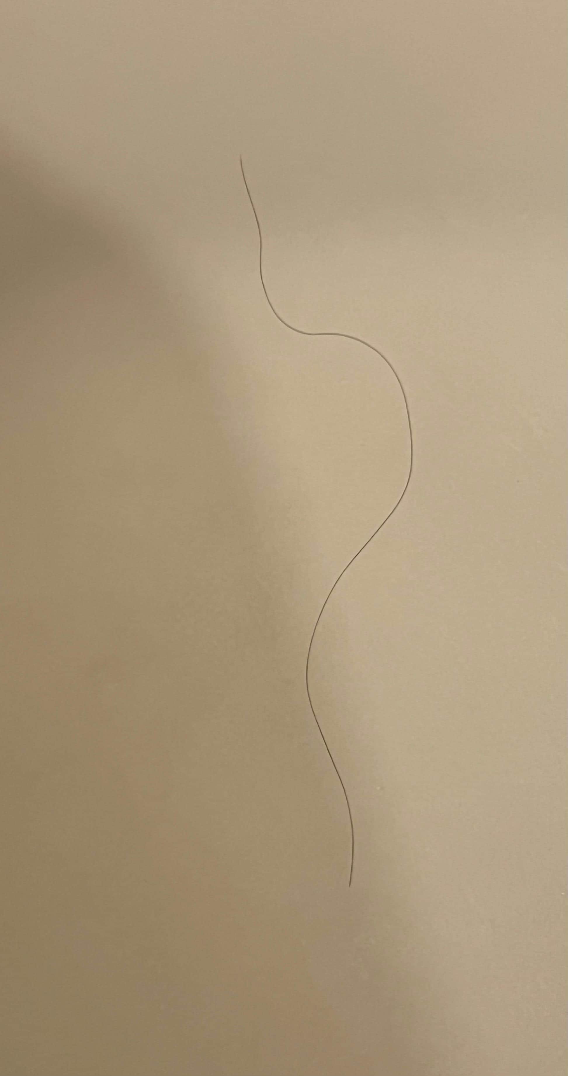 Long dark hair in the bathtub…not mine. Ewww