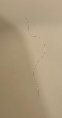 Long dark hair in the bathtub…not mine. Ewww