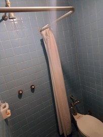 Horrible la regadera, mosaico viejo y la taza del siglo pasado y parecia de baño publico al ser de "pañanquita"