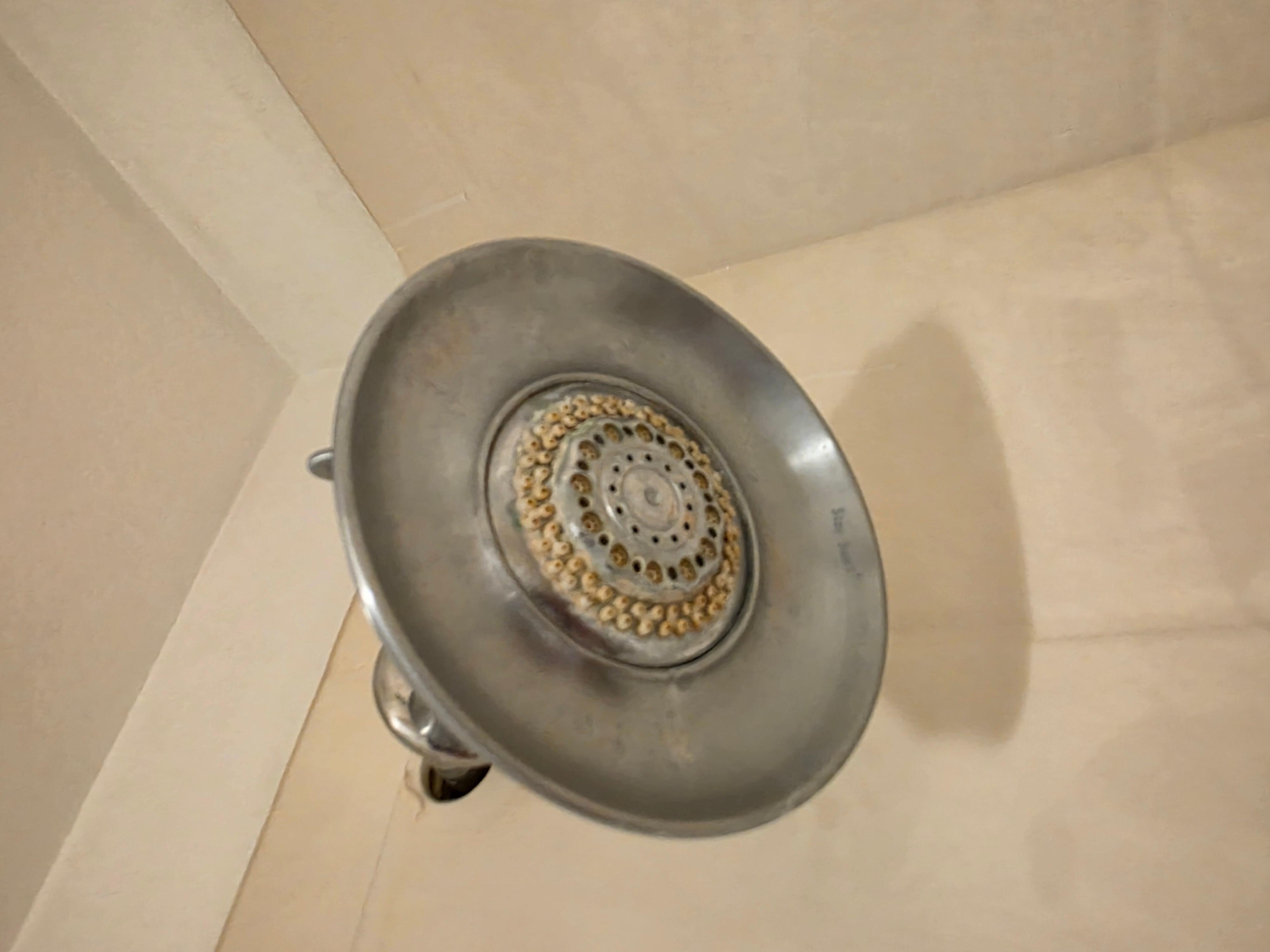 Dirty shower head barely worked. Looks like it's from the 1980s.