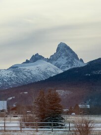 View out the back of the house