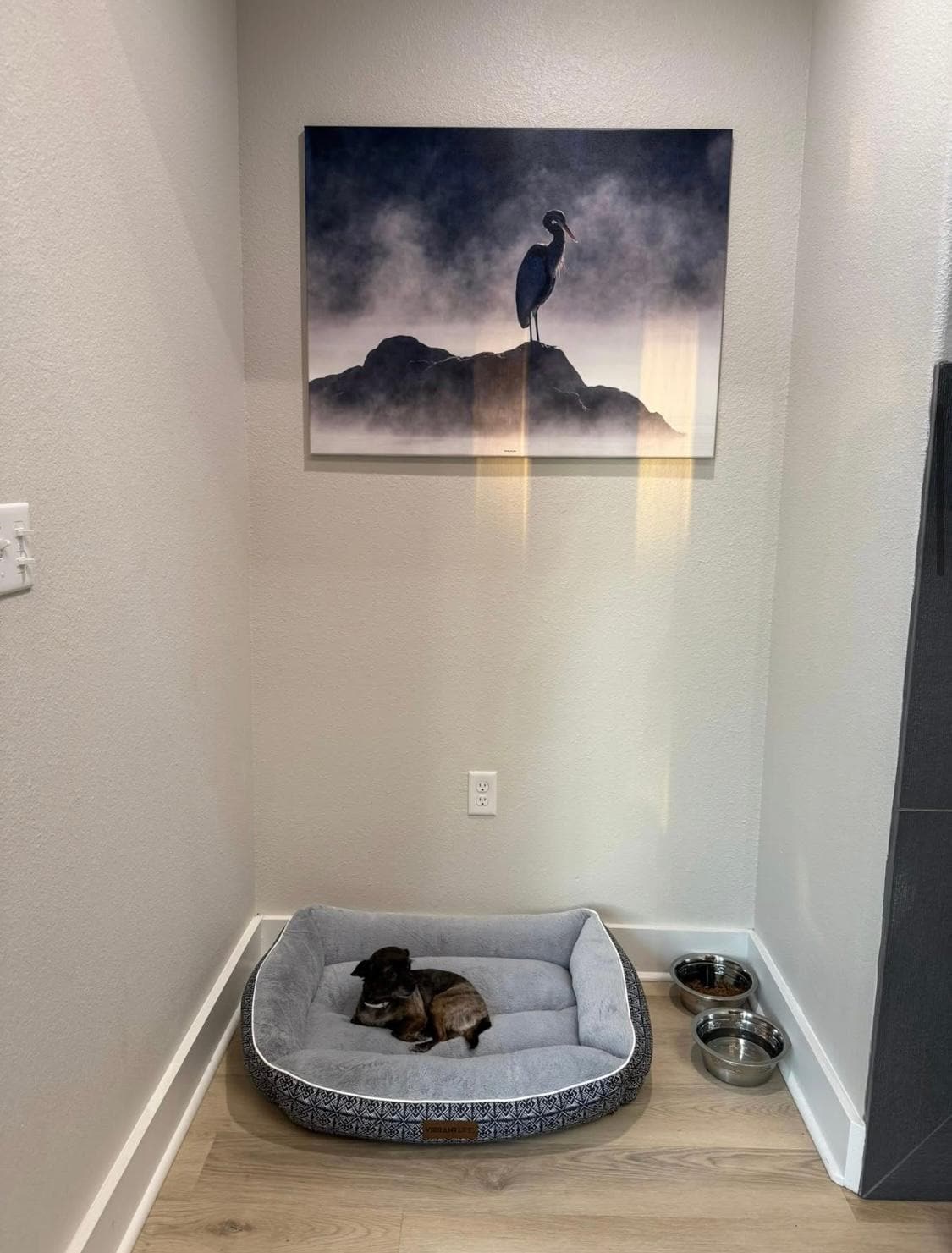 Dog friendly!