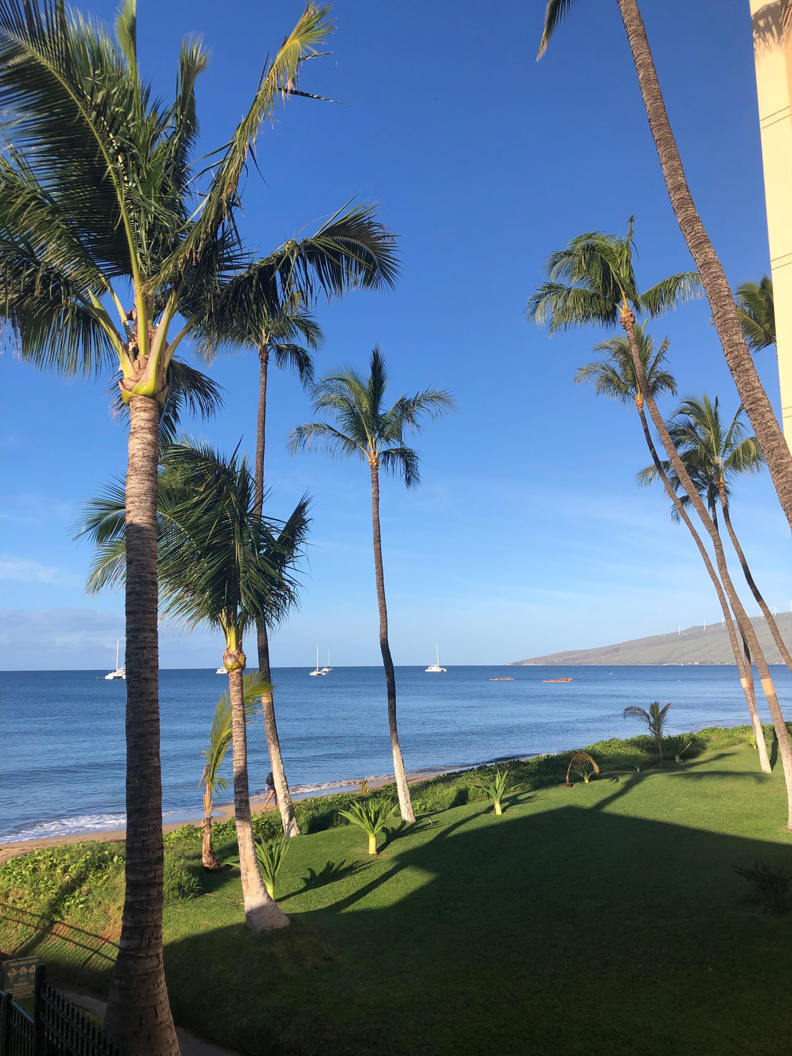 Daytime view from the Lanai