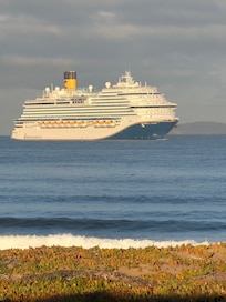 It’s so cool to see all the cruise ships going into the marina