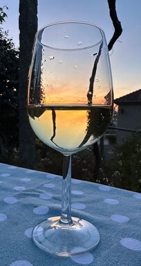 Dinner in the garden.