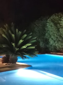 Perfect evening swim