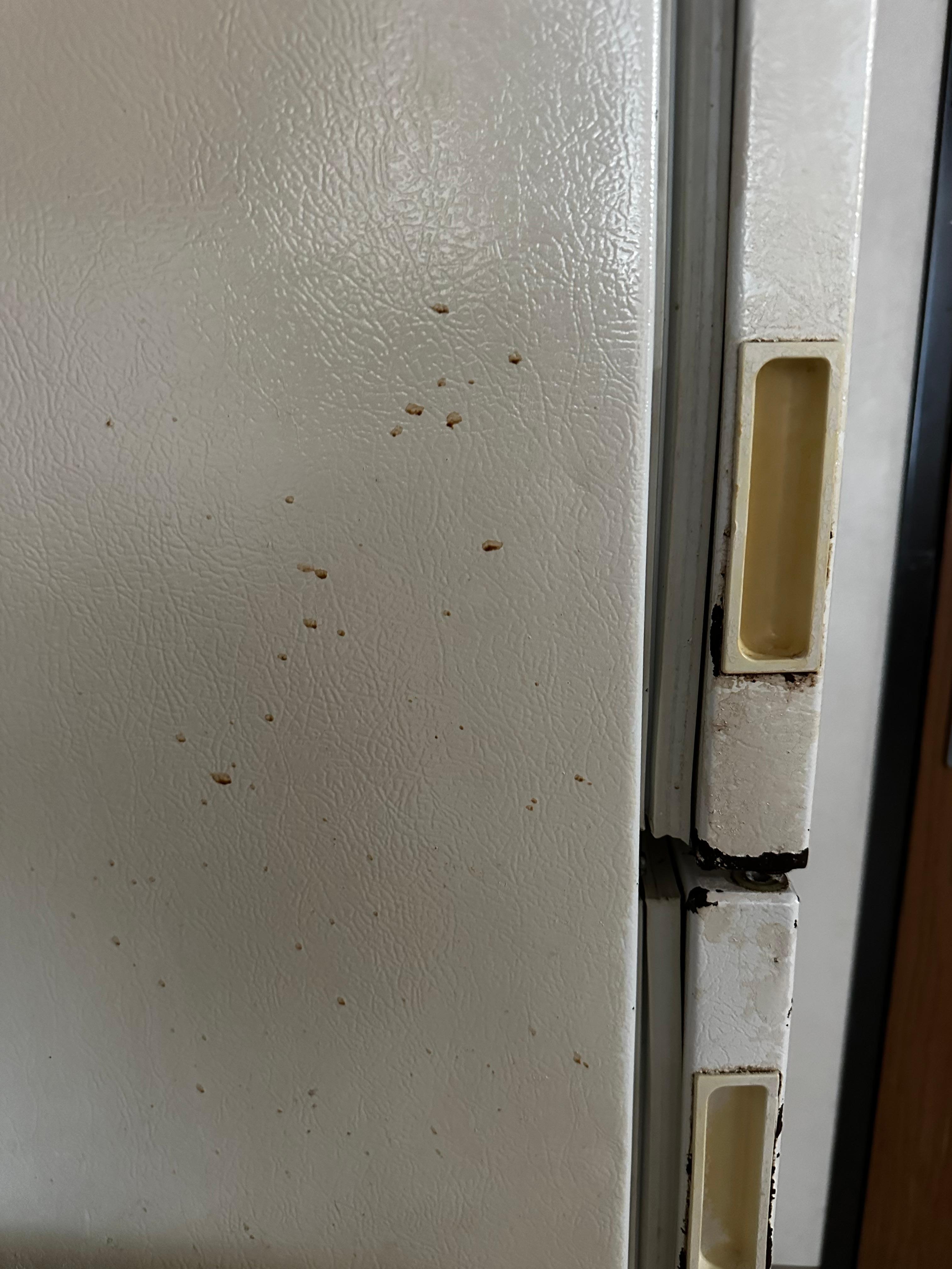 Dried fluid on side on fridge