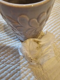 Mould in toothbrush mug, glad I looked before using!