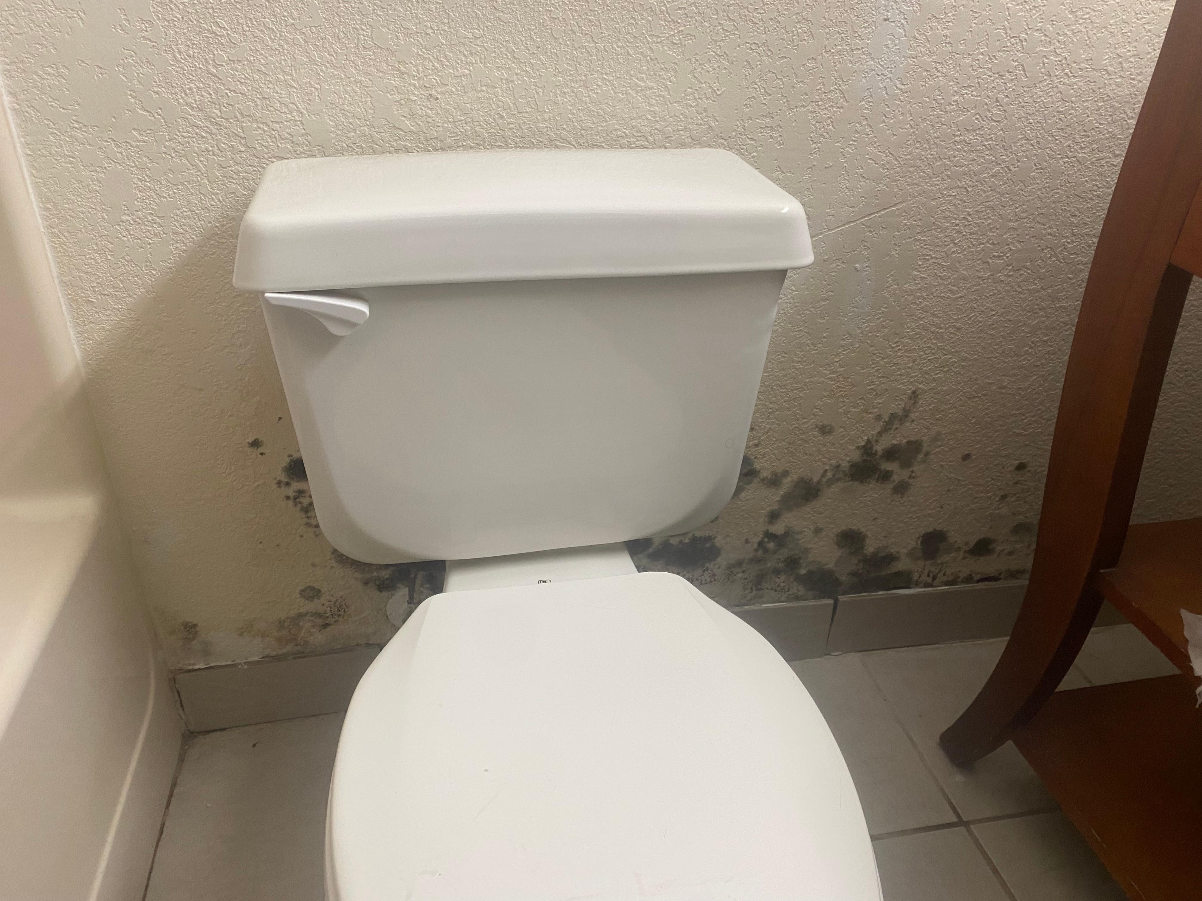 Mold in the bathrooms, I got myself and my dog the hell outta there.