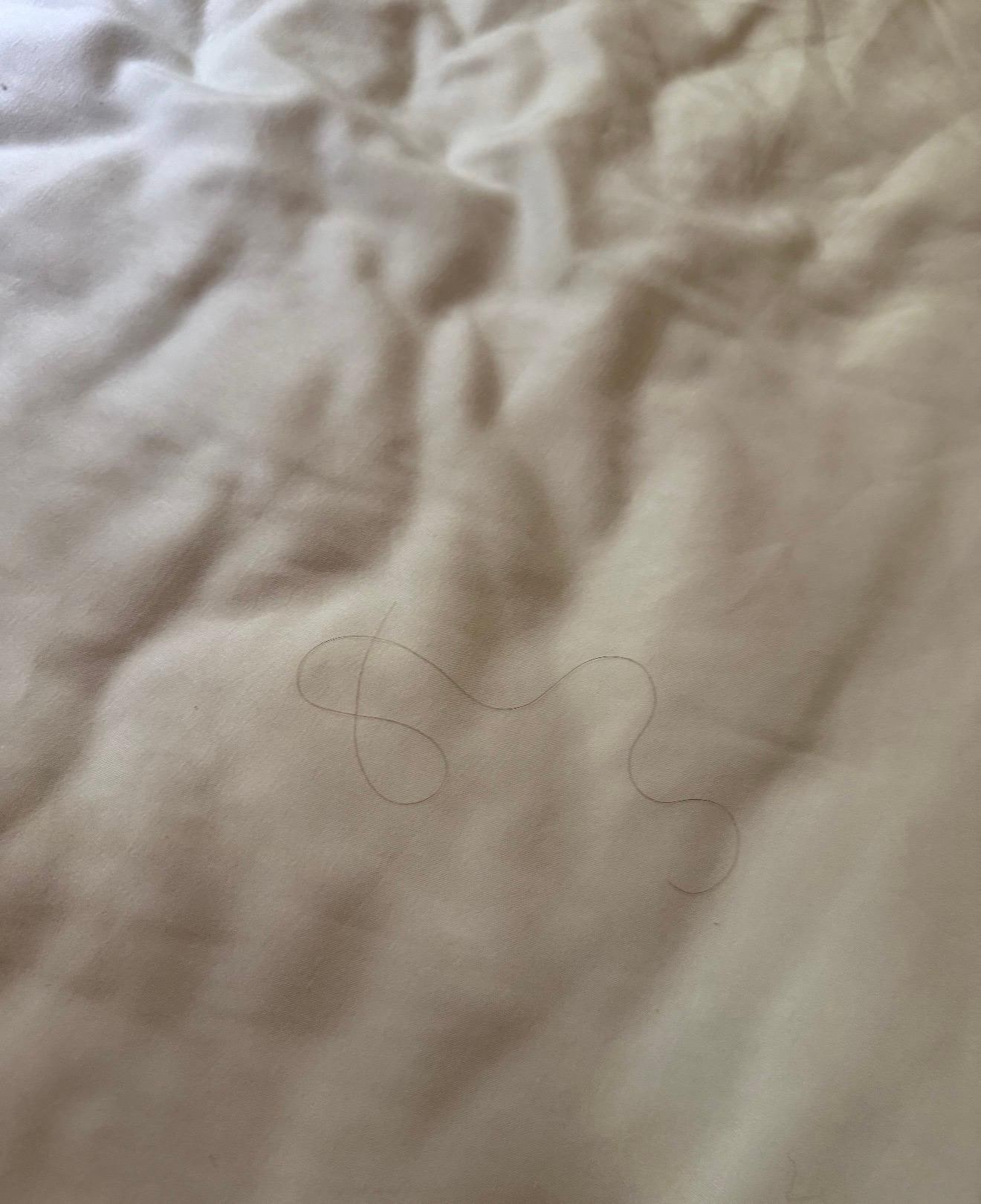 Hairs all over all beds 