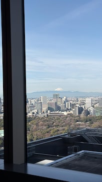 View from room