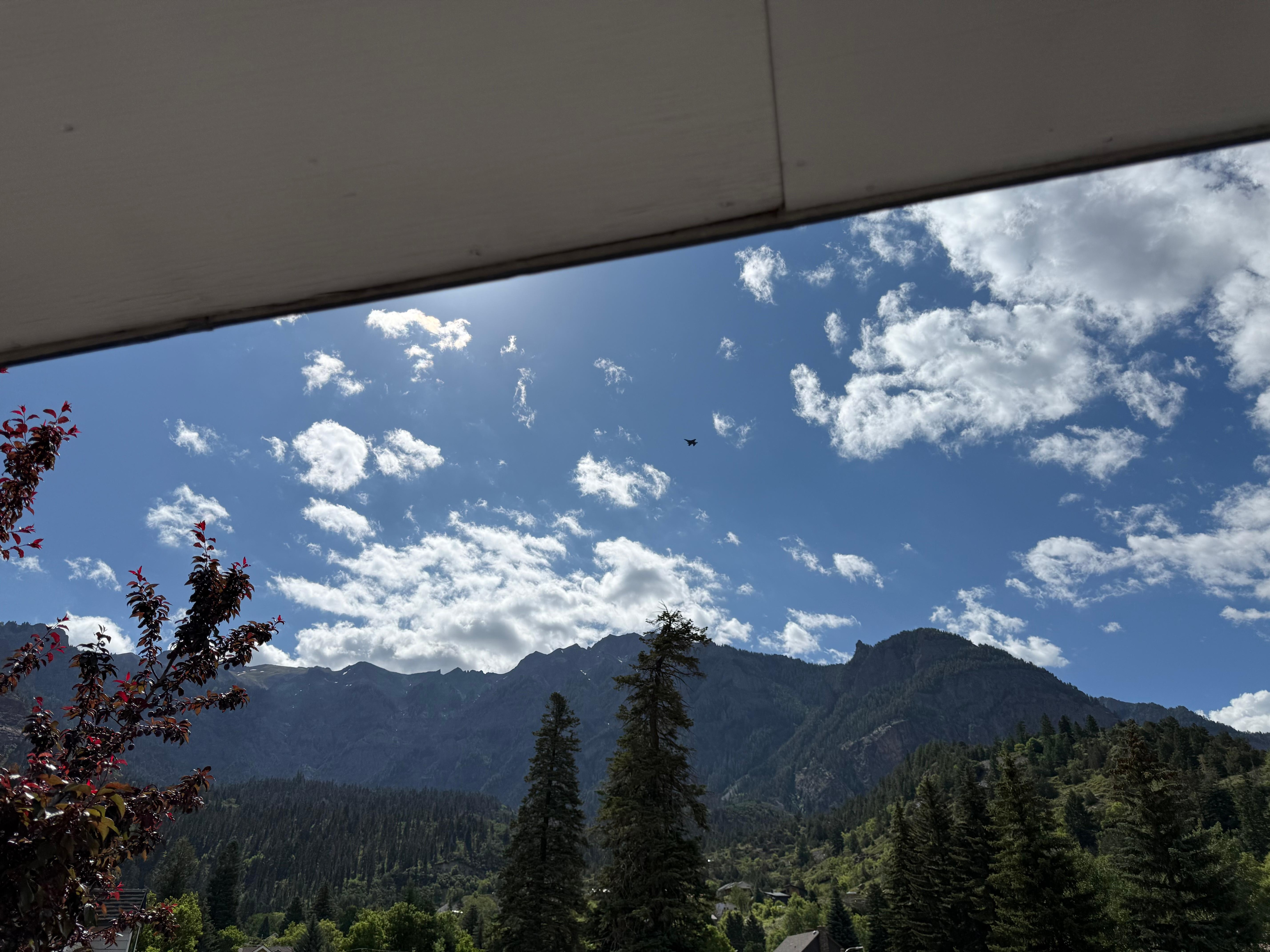 View from the room