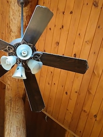 Dust and webs all over ceiling fan