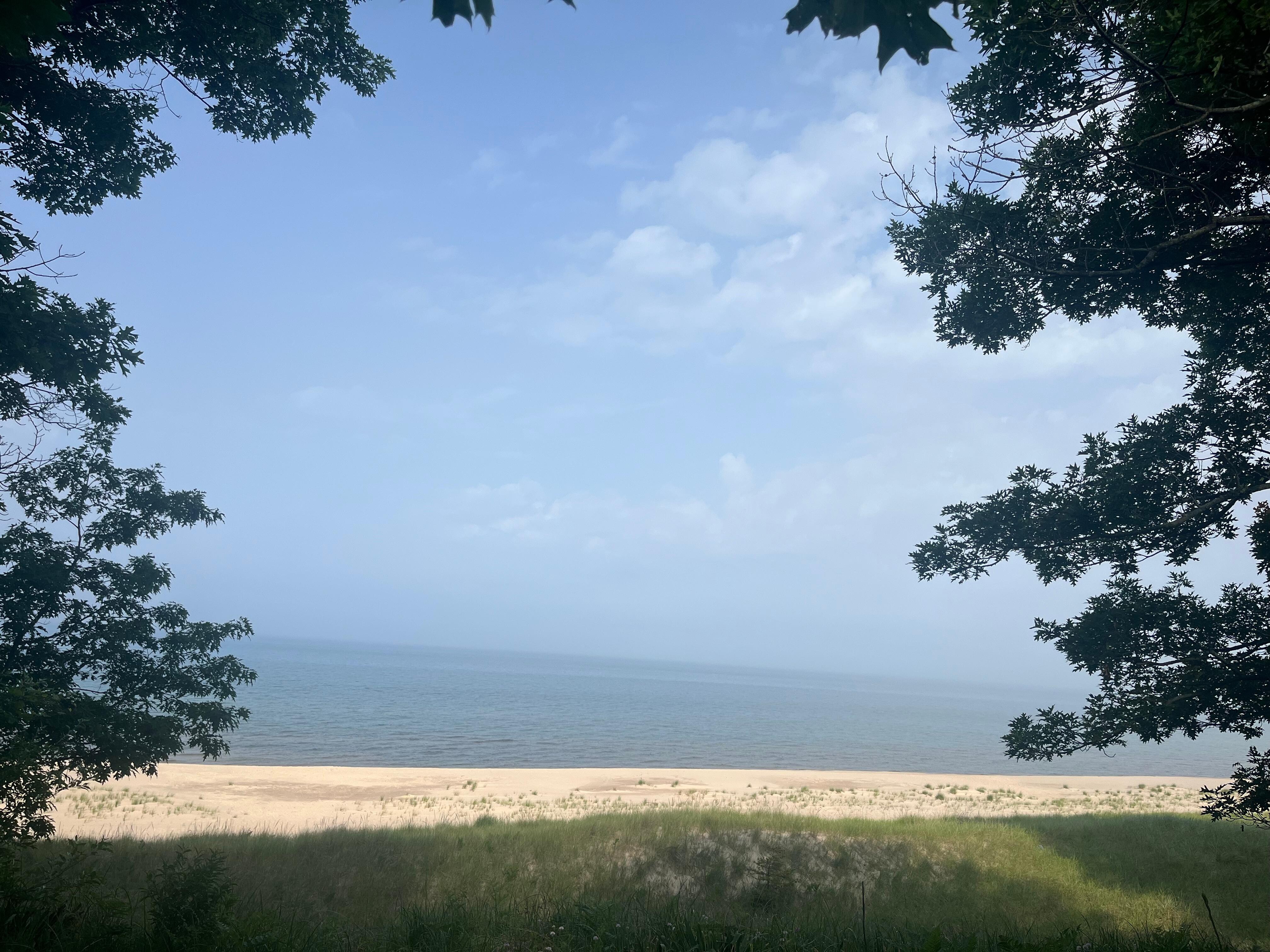 View from deck.