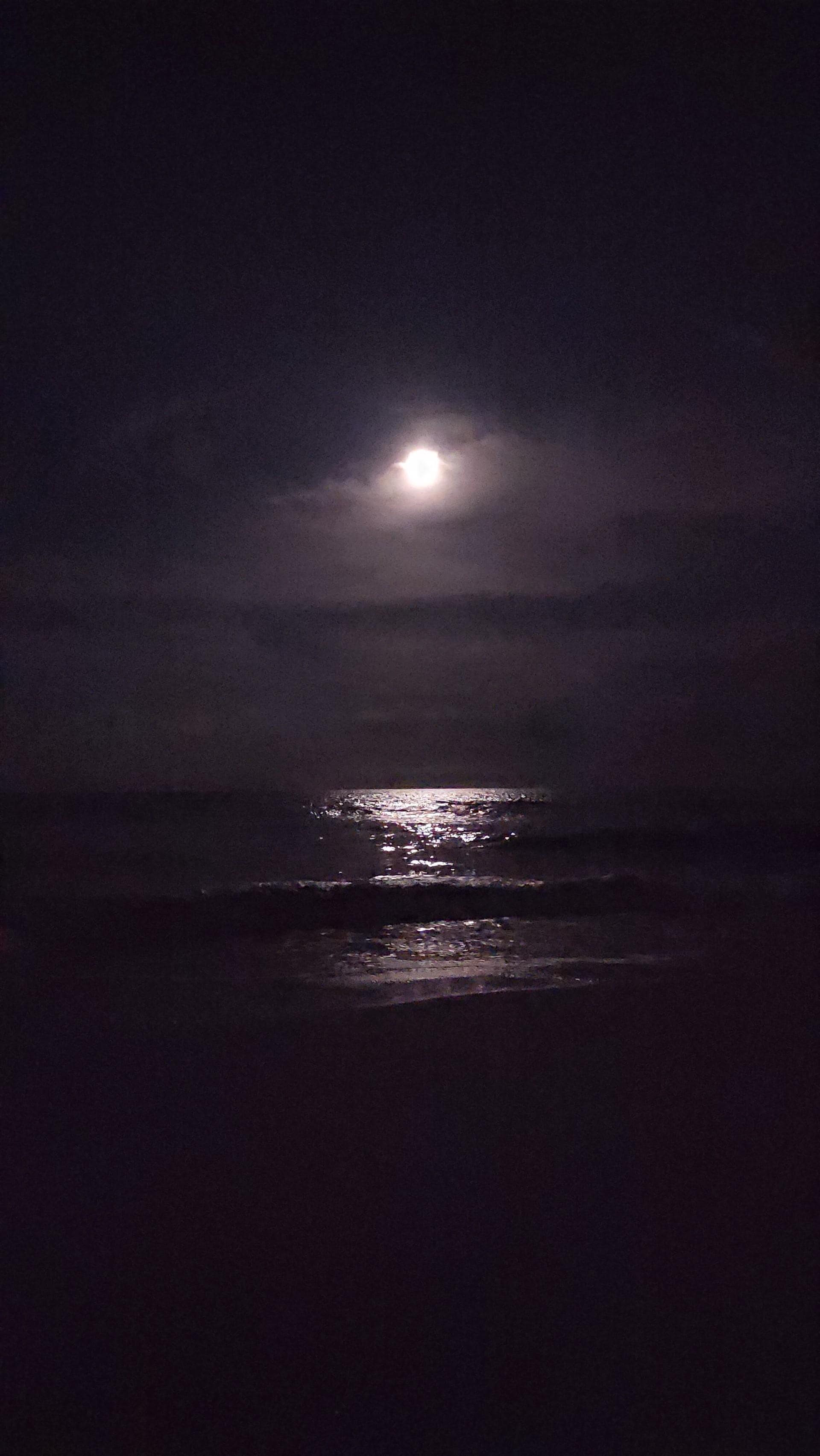 beach at midnight