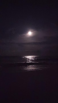 beach at midnight